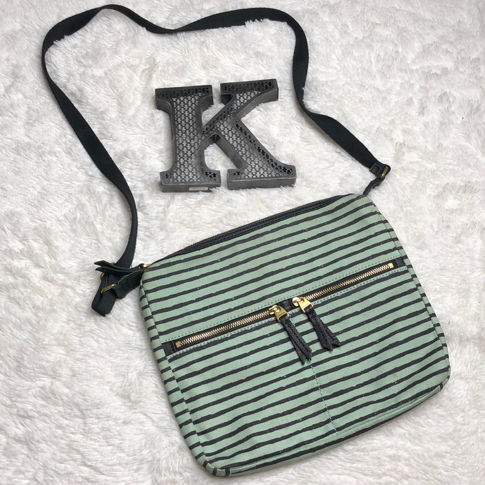 Fossil Crossbody Bag